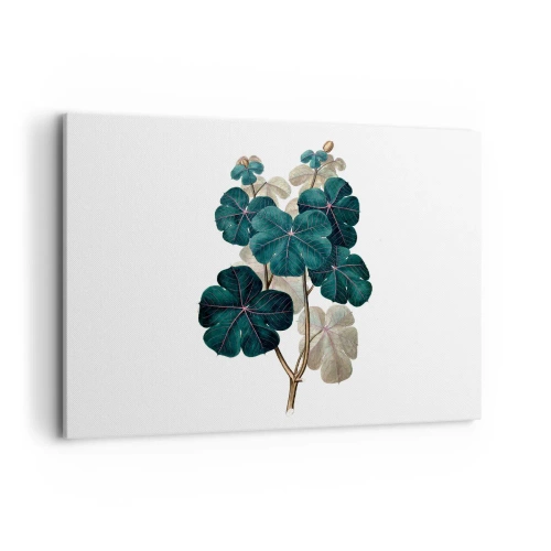 Lærredstryk - Billede på lærred - Fra et gammelt herbarium - 100x70 cm