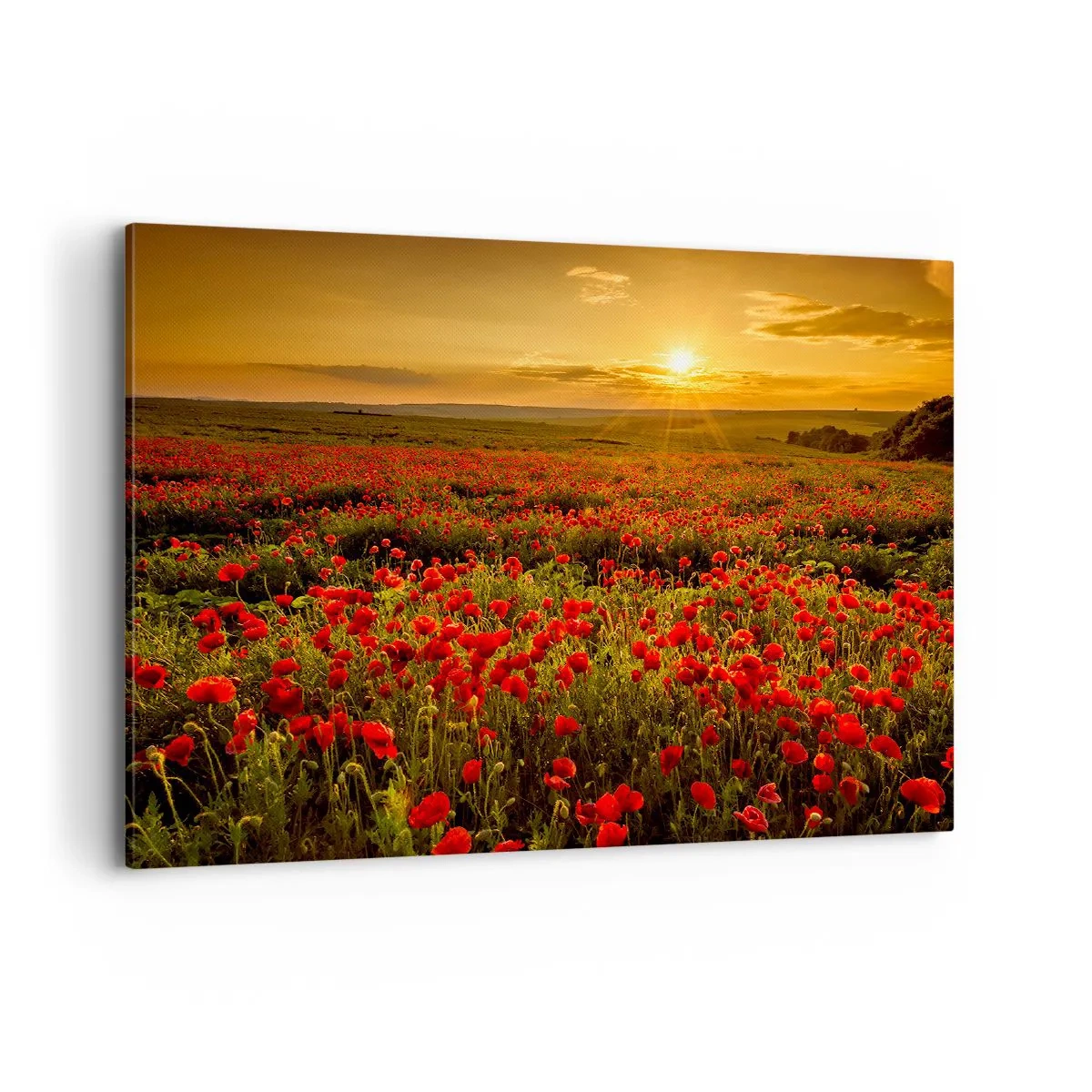 Lærredstryk - Billede på lærred - Blandt bølgerne af raslende enge, blandt flodblomster - 100x70 cm