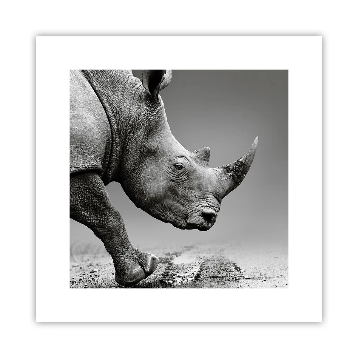 Plakat - En ustoppeli - 30x30 cm