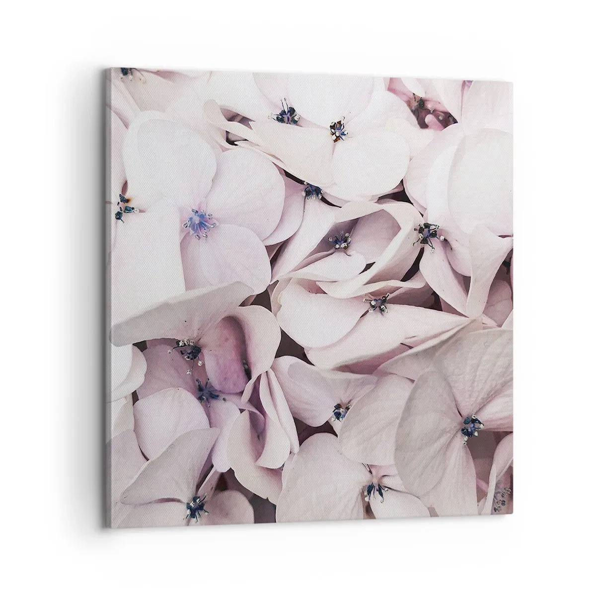 Lærredstryk - Billede på lærred - I en flod af blomster - 60x60 cm