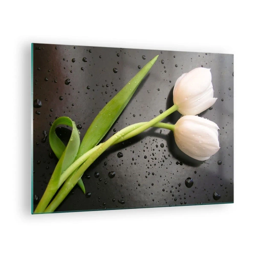 Billede på glas - Hvide tulipaner på en baggrund med vanddråber - 70x50cm - Forårsvævning - Moderne vægdekoration til stue og soveværelse ARTTOR