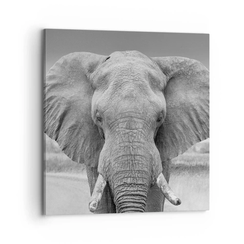 Lærredstryk - Billede på lærred - Velkommen til min verden - 70x70 cm