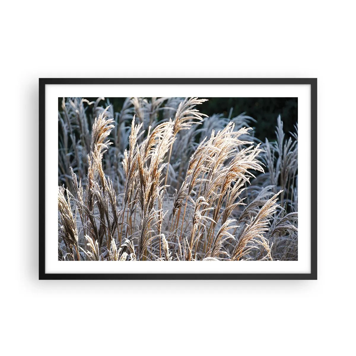 Plakat i sort ramme - Pyntet med frost - 70x50 cm