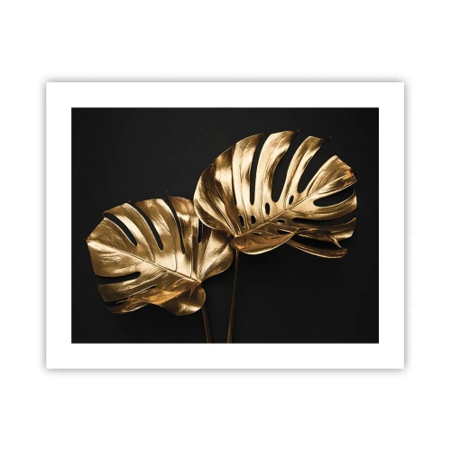 Plakat - Naturens skatte - 50x40 cm