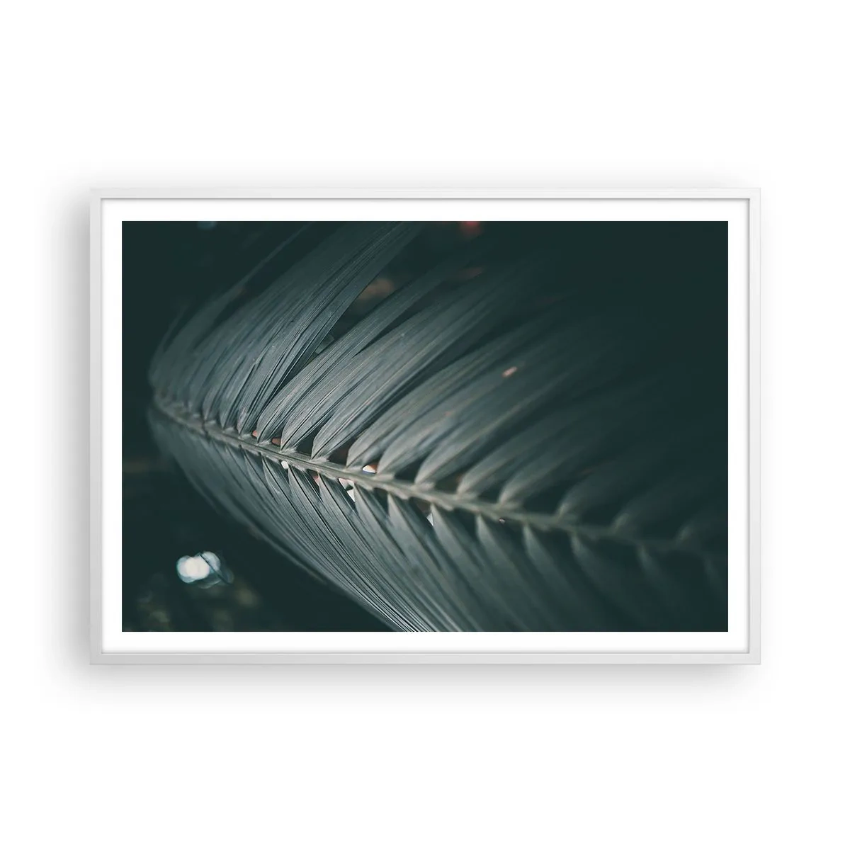 Plakat i hvid ramme - Naturens præcision - 100x70 cm