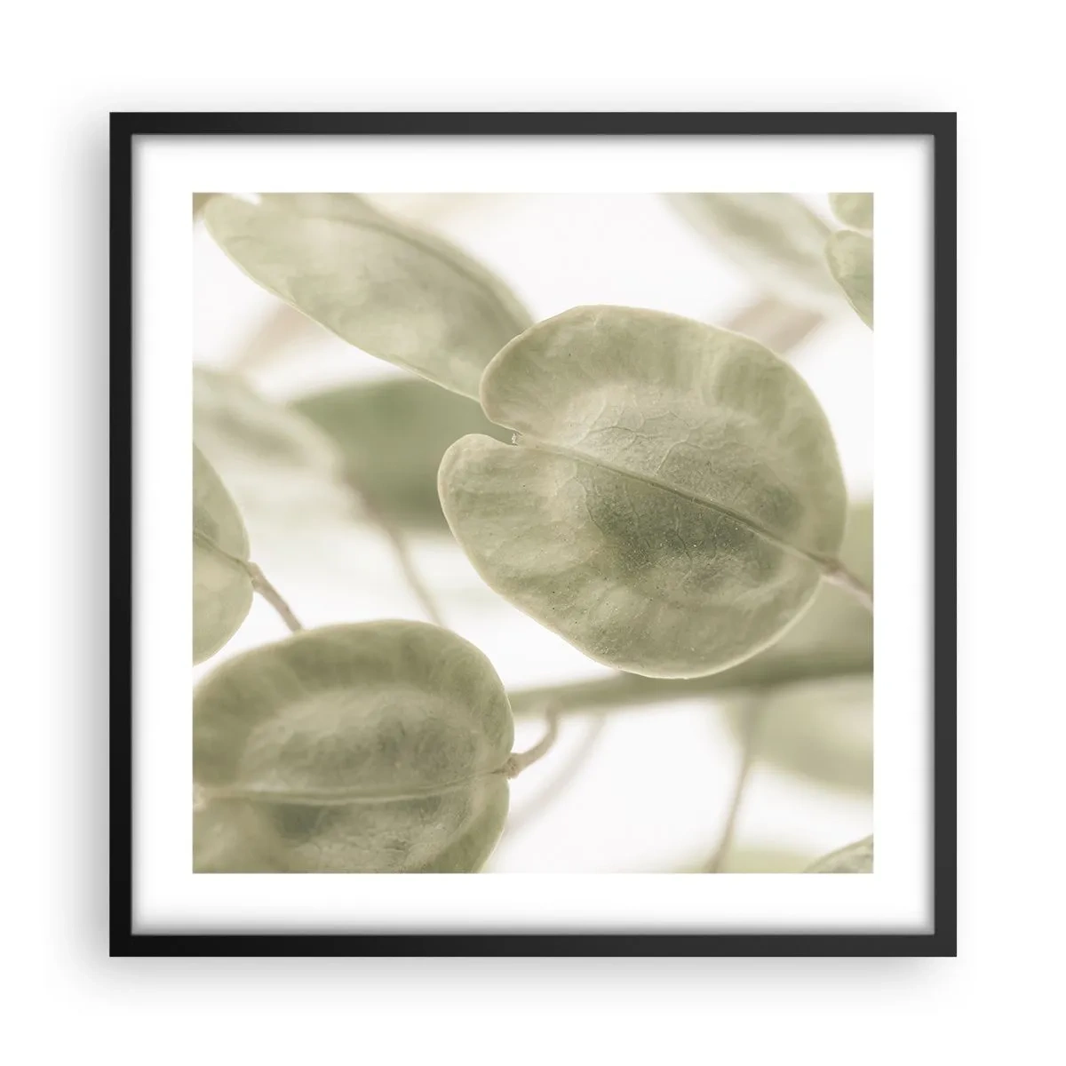 Plakat i sort ramme - I begyndelsen var der blade... - 50x50 cm