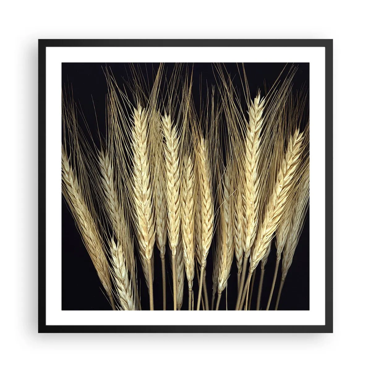 Plakat i sort ramme - Rustik magi - 60x60 cm