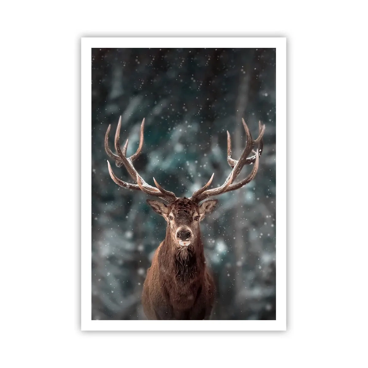 Plakat - Skovens konge kronet - 70x100 cm