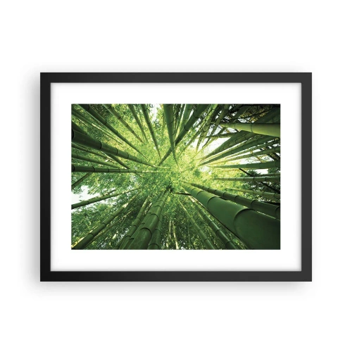 Plakat i sort ramme - I en bambuslund - 40x30 cm