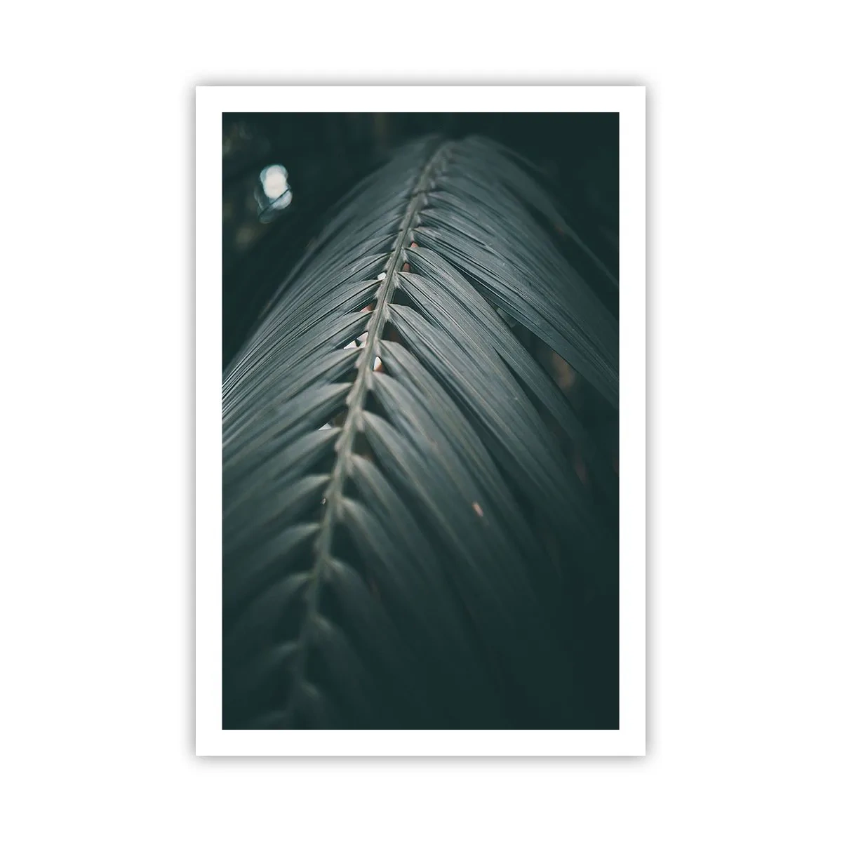 Plakat - Naturens præcision - 61x91 cm