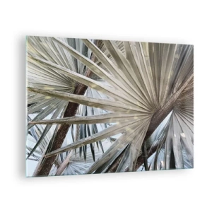 Billede på glas - Palmeblade i klart dagslys - 70x50cm - Ventilatorer i troperne - Moderne vægdekoration til stue og soveværelse ARTTOR