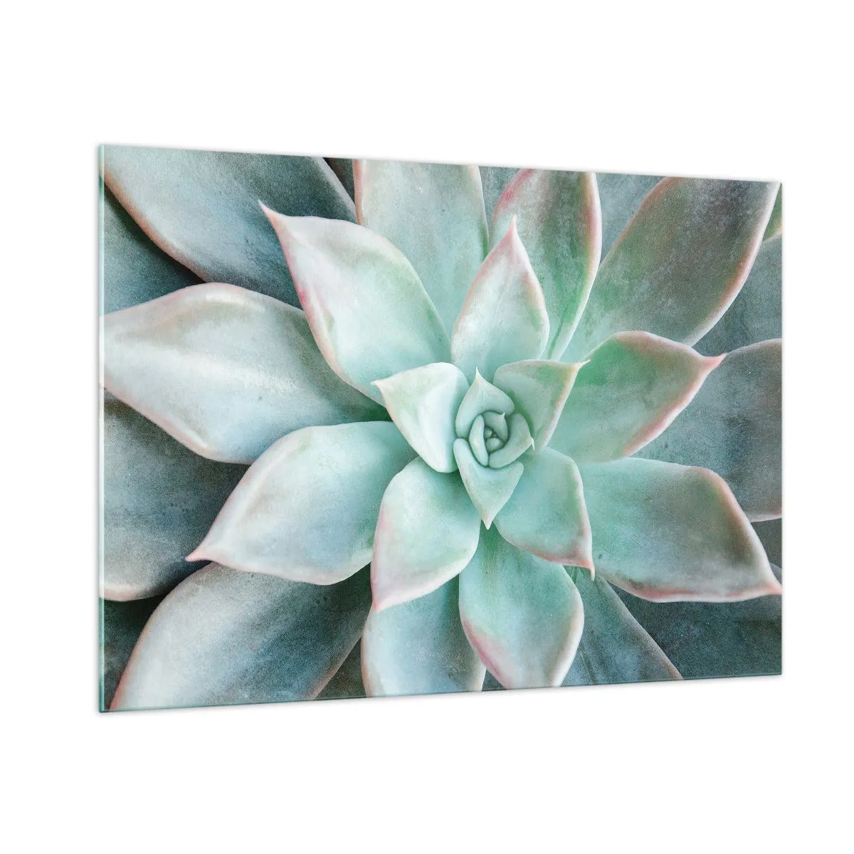 Billede på glas - Hjertet af ørkenen - 100x70 cm