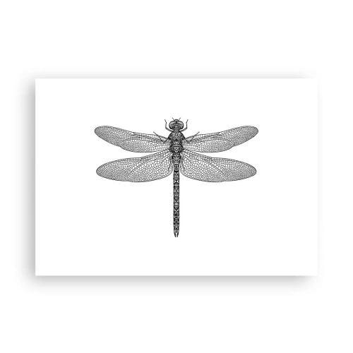 Plakat - Præcision i naturen - 100x70 cm