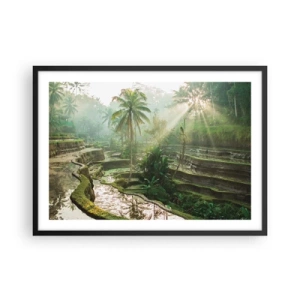 Plakat i sort ramme - Voksende op i solen - 70x50 cm