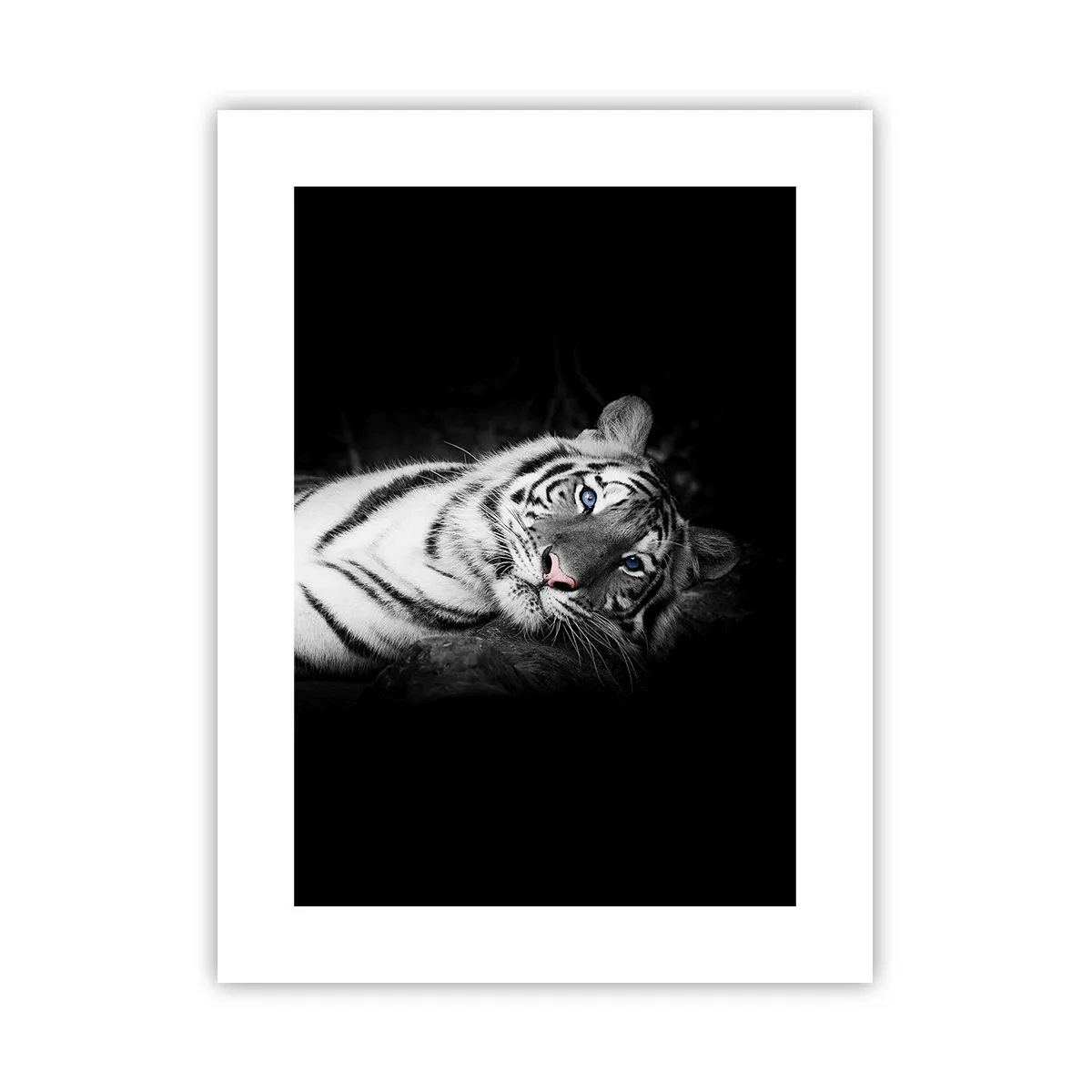 Plakat - Vildskab og fred - 30x40 cm