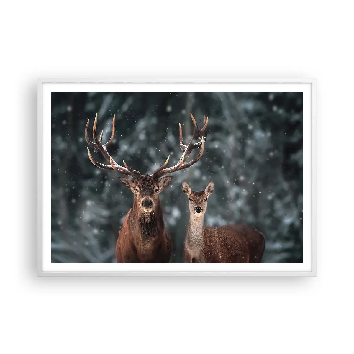 Plakat i hvid ramme - Skovens herre og hans kone - 100x70 cm