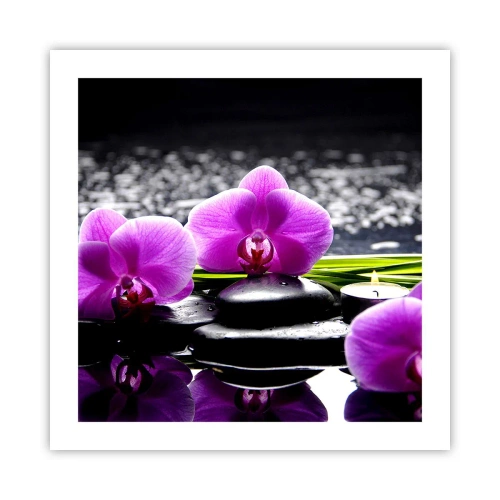 Plakat - Drukne i fred og ro - 50x50 cm