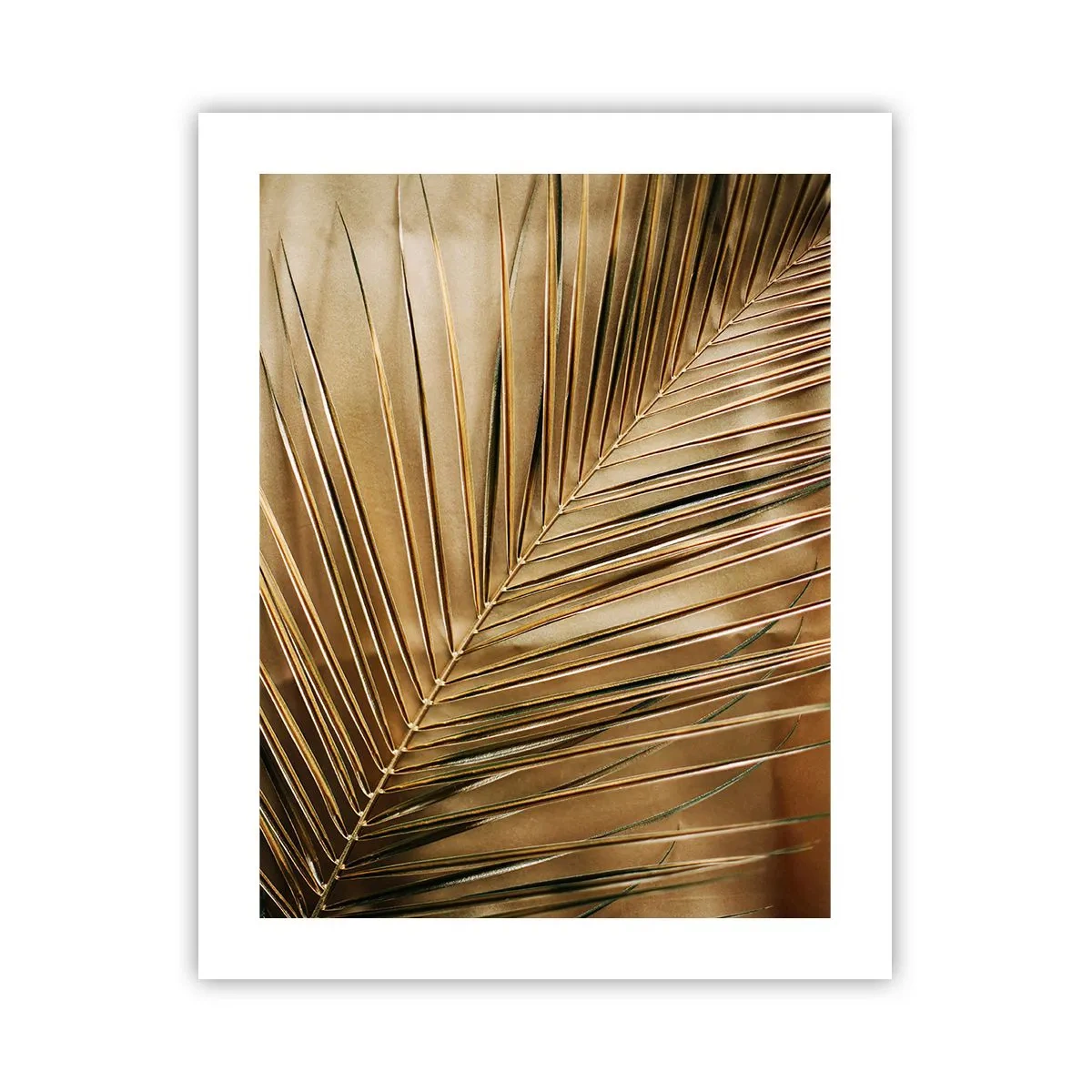 Plakat - Naturlig kolonnade - 40x50 cm