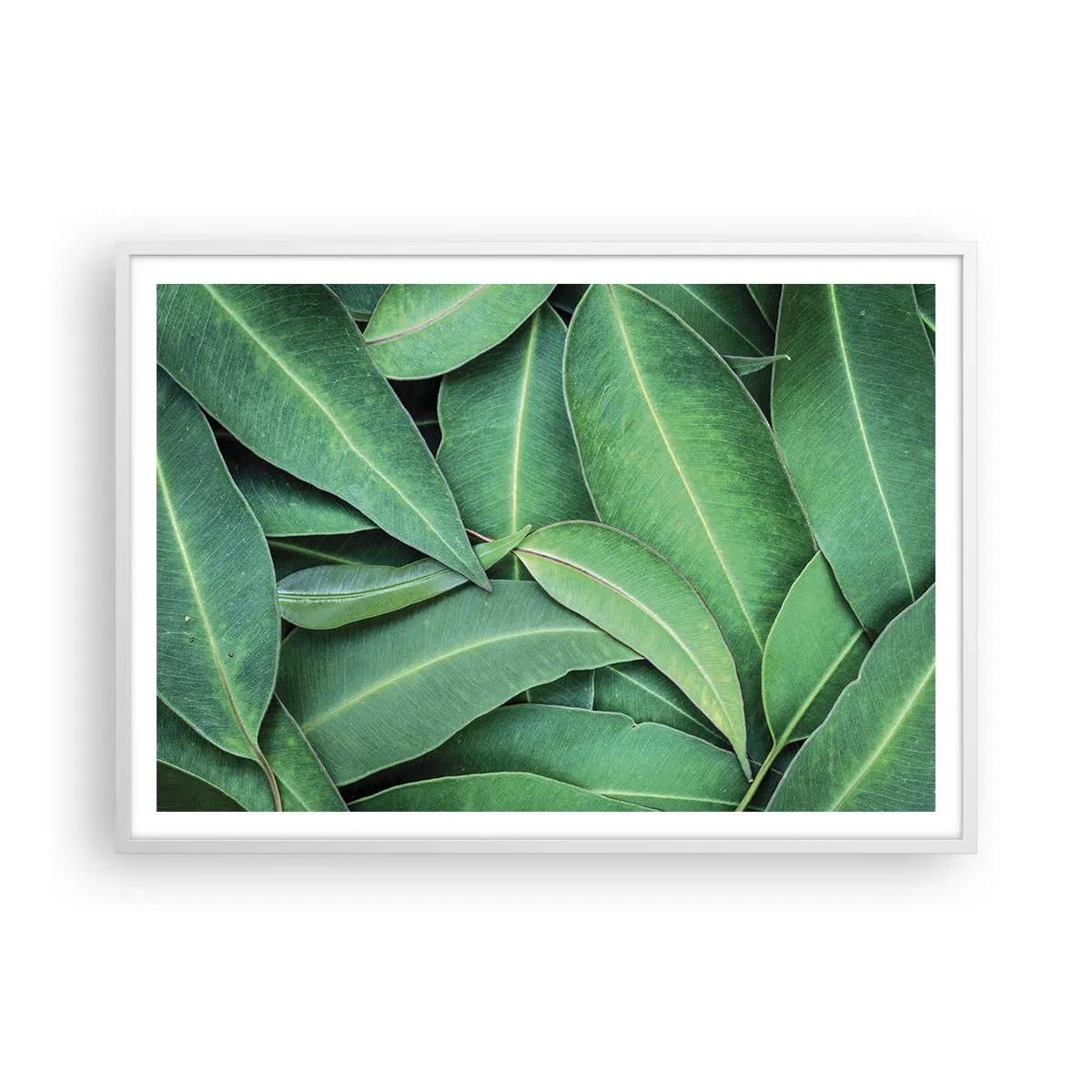 Plakat i hvid ramme - Saftig og frisk - 100x70 cm