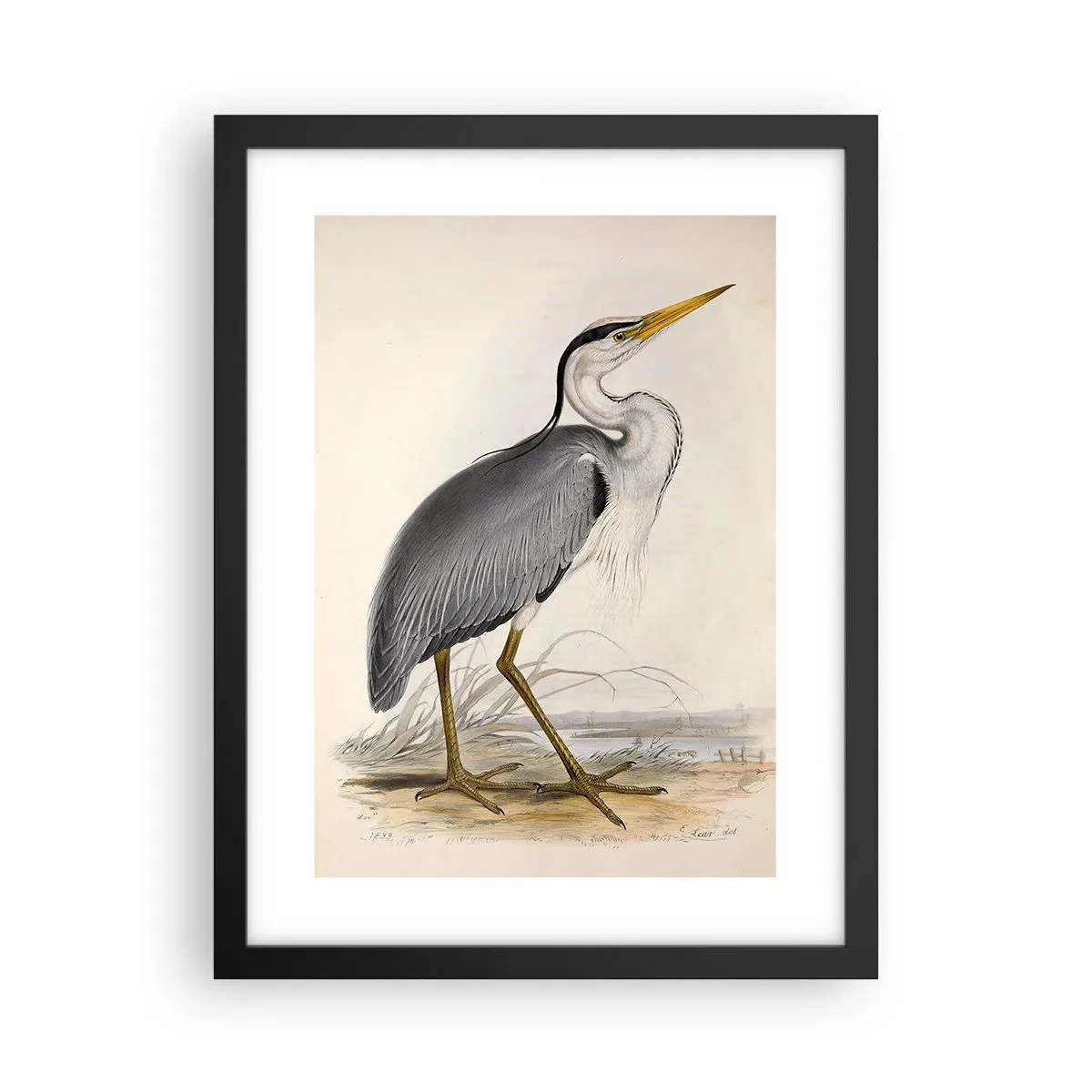 Plakat i sort ramme - Fiskehejre-charme - 30x40 cm