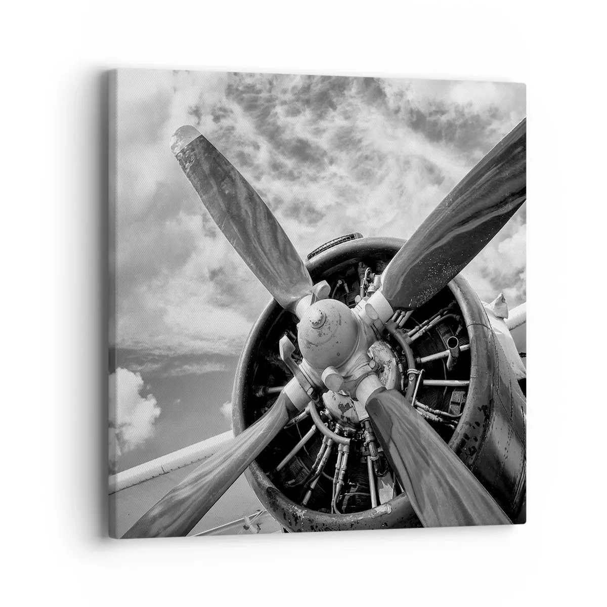 Lærredstryk - Billede på lærred - Himmelens erobrer - 40x40 cm