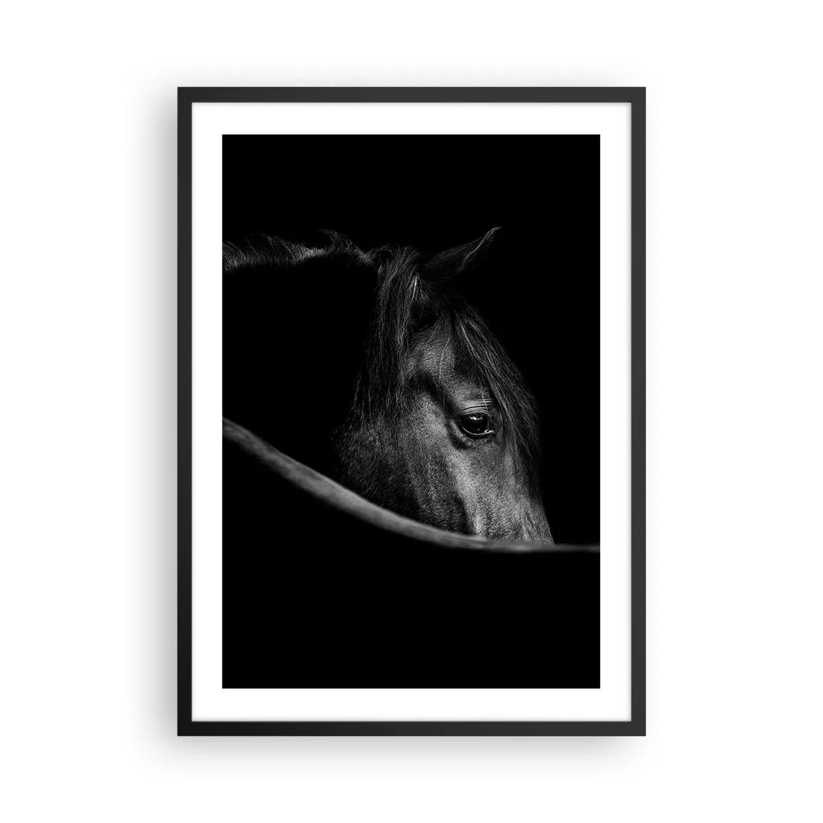 Plakat i sort ramme - Sort-hvidt portræt af en hest i en kunstnerisk tilgang - 50x70cm - Sort prins - Moderne vægdekoration til stue og soveværelse ARTTOR