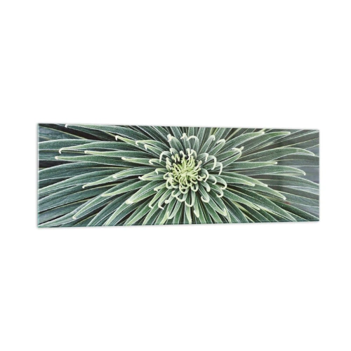 Billede på glas - En stjernes fødsel - 160x50 cm