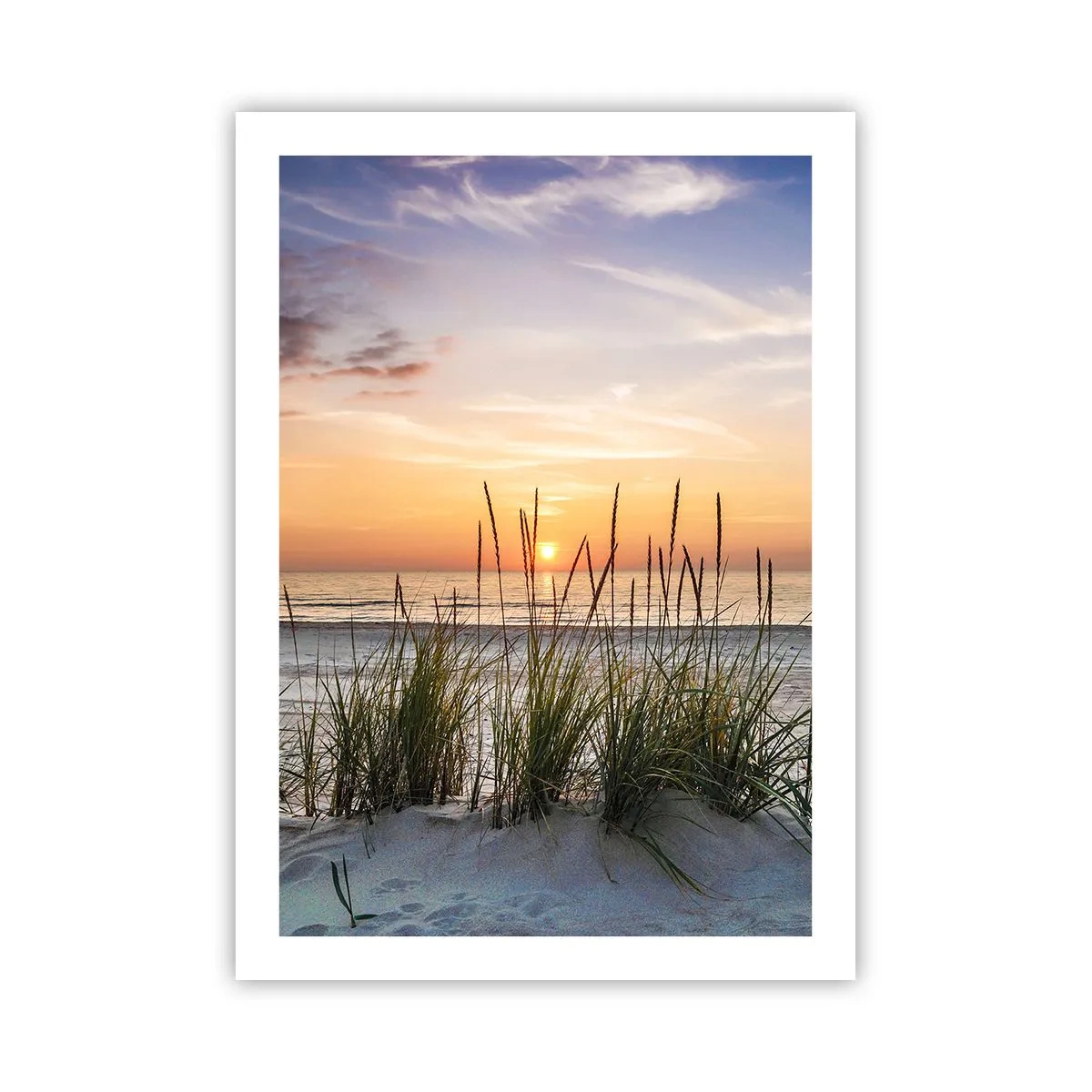 Plakat - Se, tænk, føl - 50x70 cm