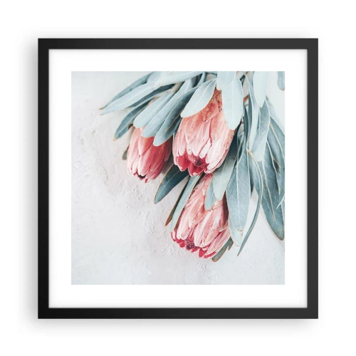 Plakat i sort ramme - Skammer sig over deres egen skønhed - 40x40 cm