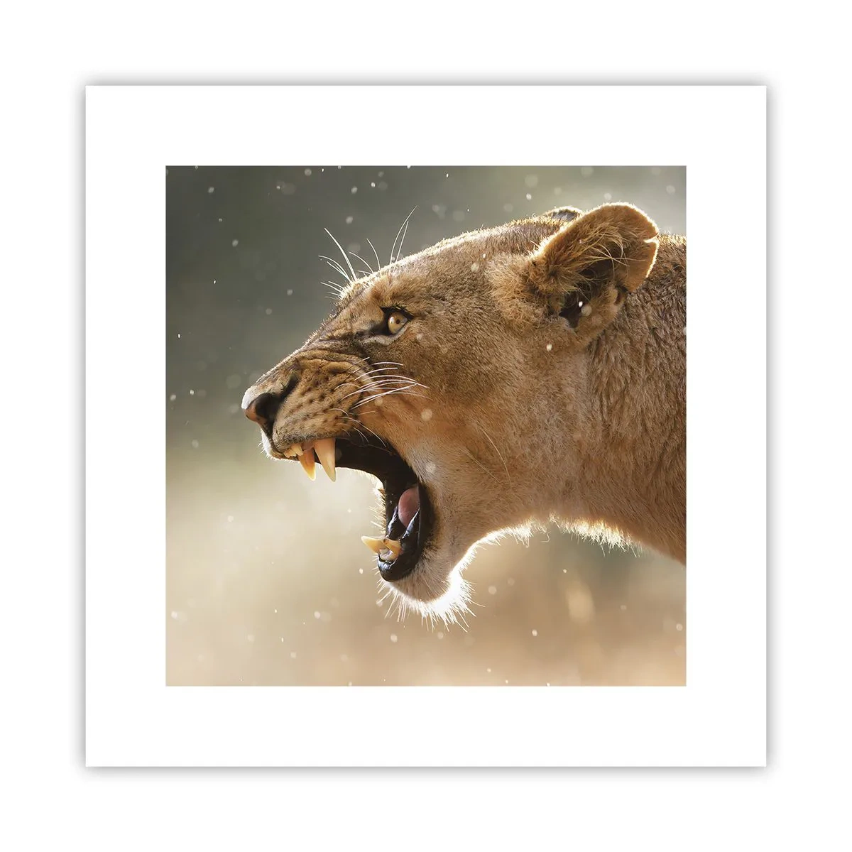 Plakat - Prøv ikke at lytte - 30x30 cm