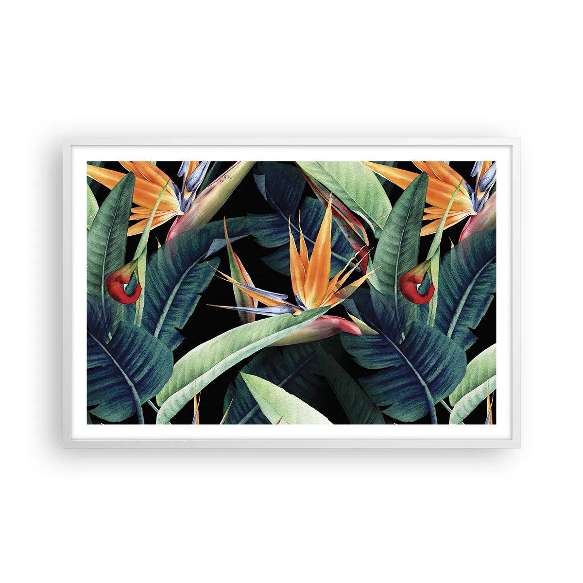Plakat i hvid ramme - Flammeblomster i troperne - 91x61 cm