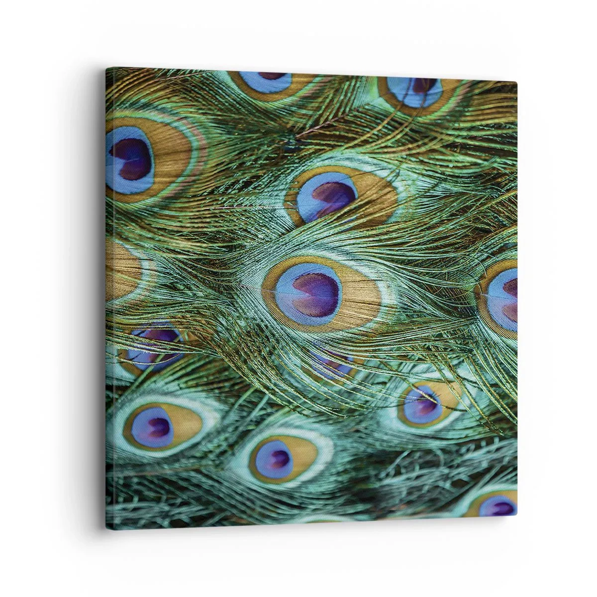 Lærredstryk - Billede på lærred - En påfugls blik - 30x30 cm
