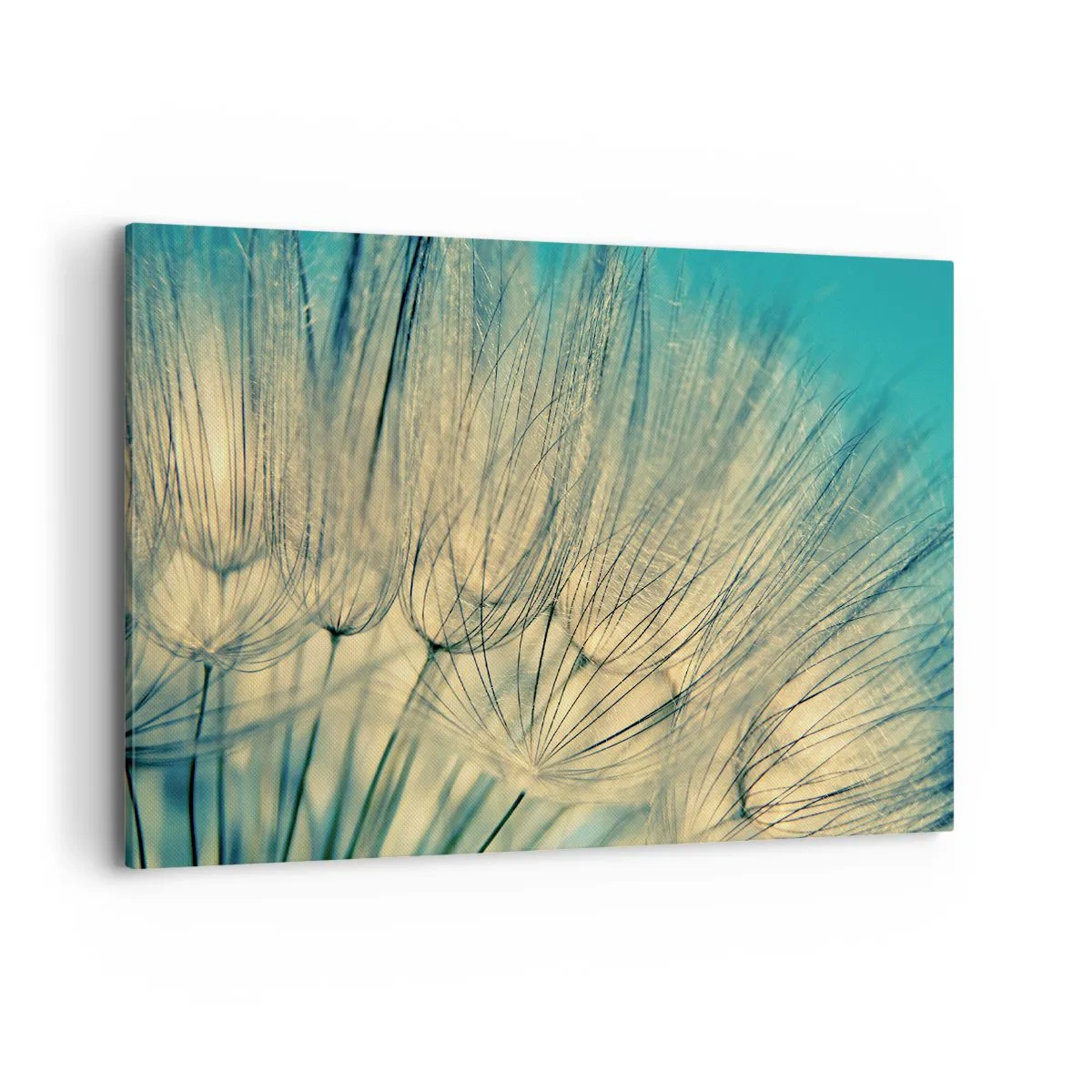 Lærredstryk - Billede på lærred - Venter på vinden - 120x80 cm