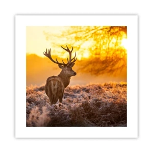 Plakat - Kongen af efterårsskoven - 40x40 cm