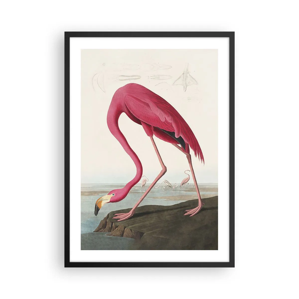 Plakat i sort ramme - En lyserød flamingo mod et naturligt landskab - 50x70cm - Et forbløffende væsen - Moderne vægdekoration til stue og soveværelse ARTTOR