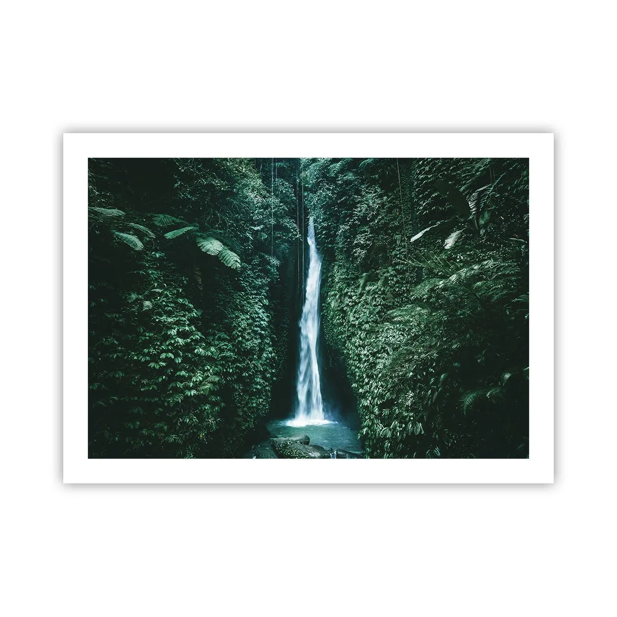 Plakat - Tropisk spa - 70x50 cm