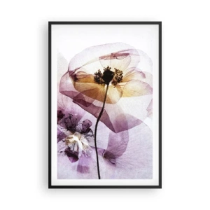 Plakat i sort ramme - Blomsterlegeme dias - 61x91 cm