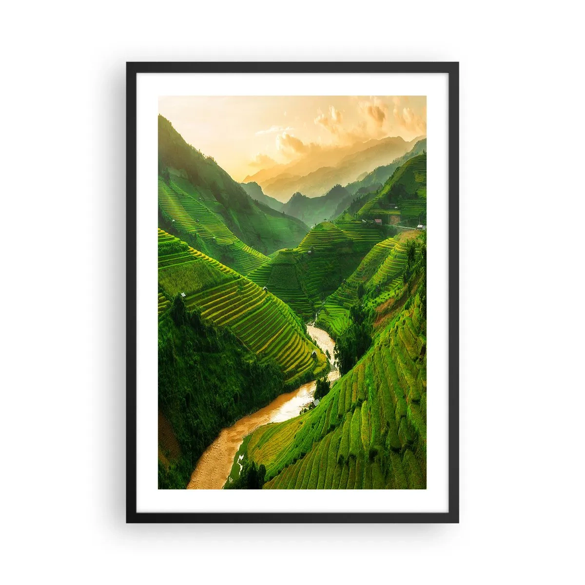 Plakat i sort ramme - Maleriske risterrasser i en grøn dal - 50x70cm - Vietnamesisk dal - Moderne vægdekoration til stue og soveværelse ARTTOR