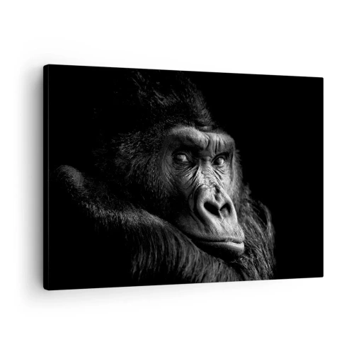 Lærredstryk - Billede på lærred - Sort-hvidt portræt af en majestætisk gorilla - 70x50cm - Og hvad kigger du på? - Moderne vægdekoration til stue og soveværelse ARTTOR