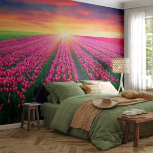 Fototapet Premium Canvas - Skønhedsfarm - Blomster, Tulipaner, Solnedgang - 200x140 cm