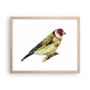 Plakat i ramme af lyst egetræ - Portræt af en fugl - 50x40 cm
