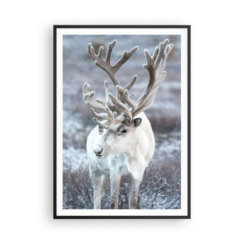 Plakat i sort ramme - Portræt i solen - 70x100 cm