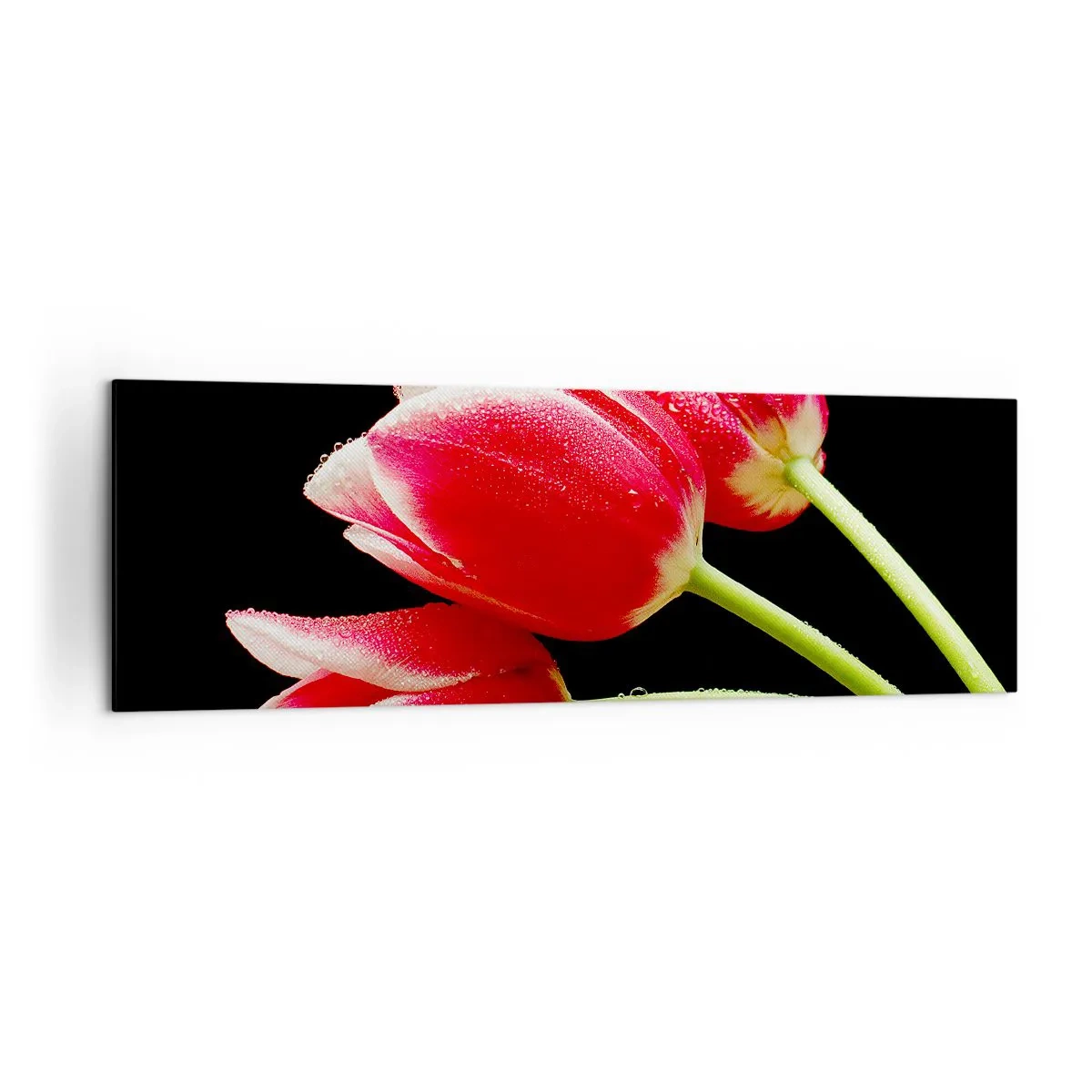 Lærredstryk - Billede på lærred - Løftet om ren kærlighed - 160x50 cm