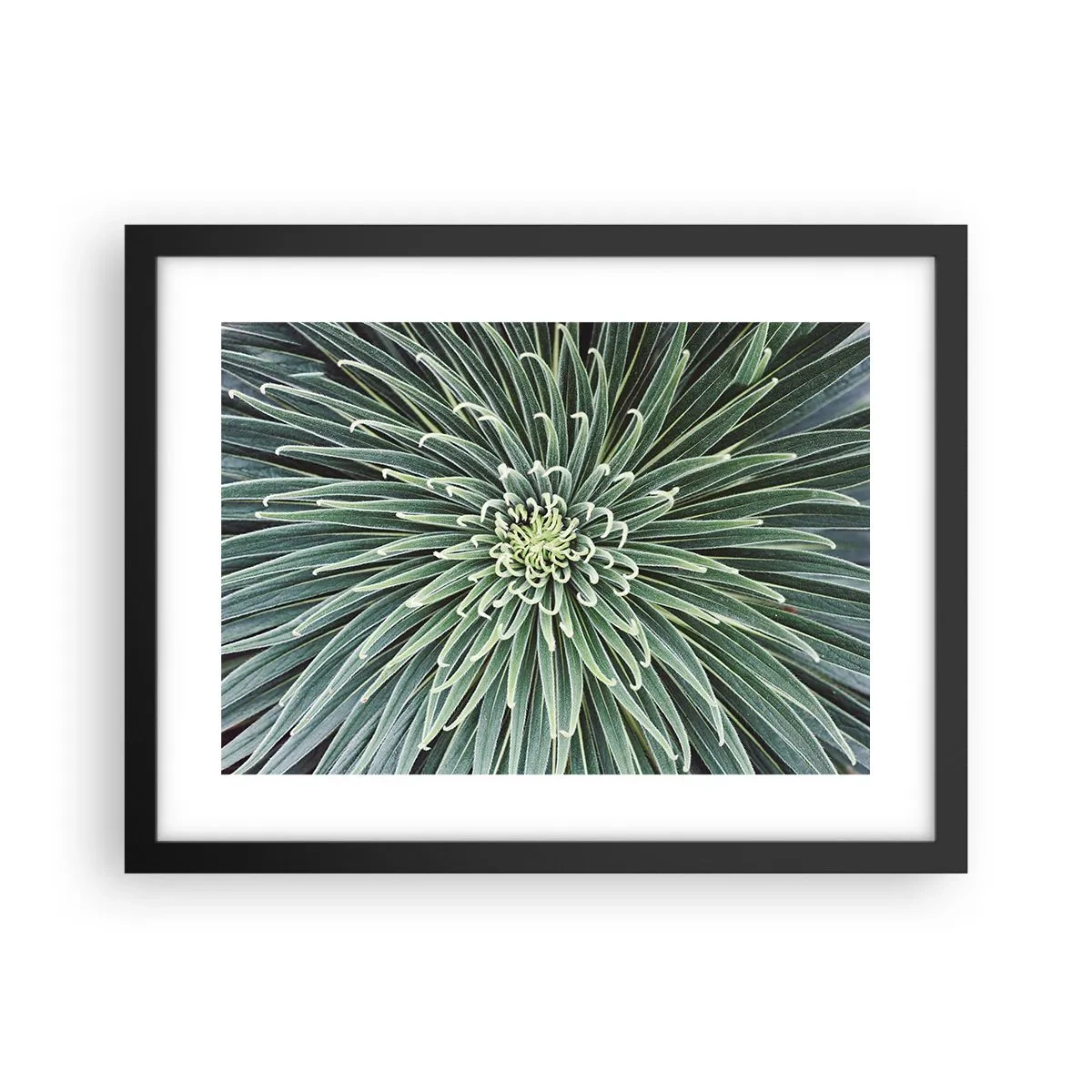 Plakat i sort ramme - En stjernes fødsel - 40x30 cm