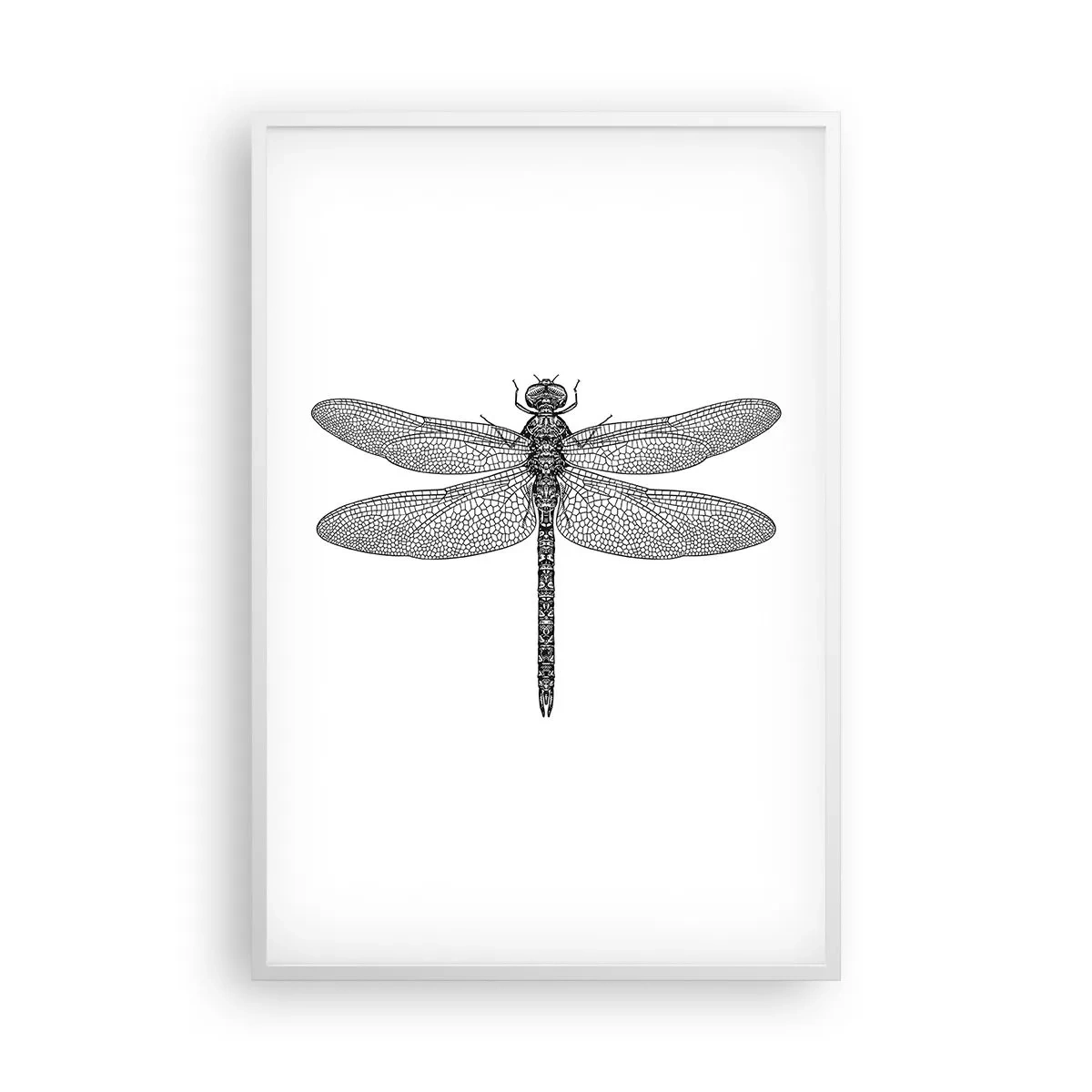 Plakat i hvid ramme - Præcision i naturen - 61x91 cm