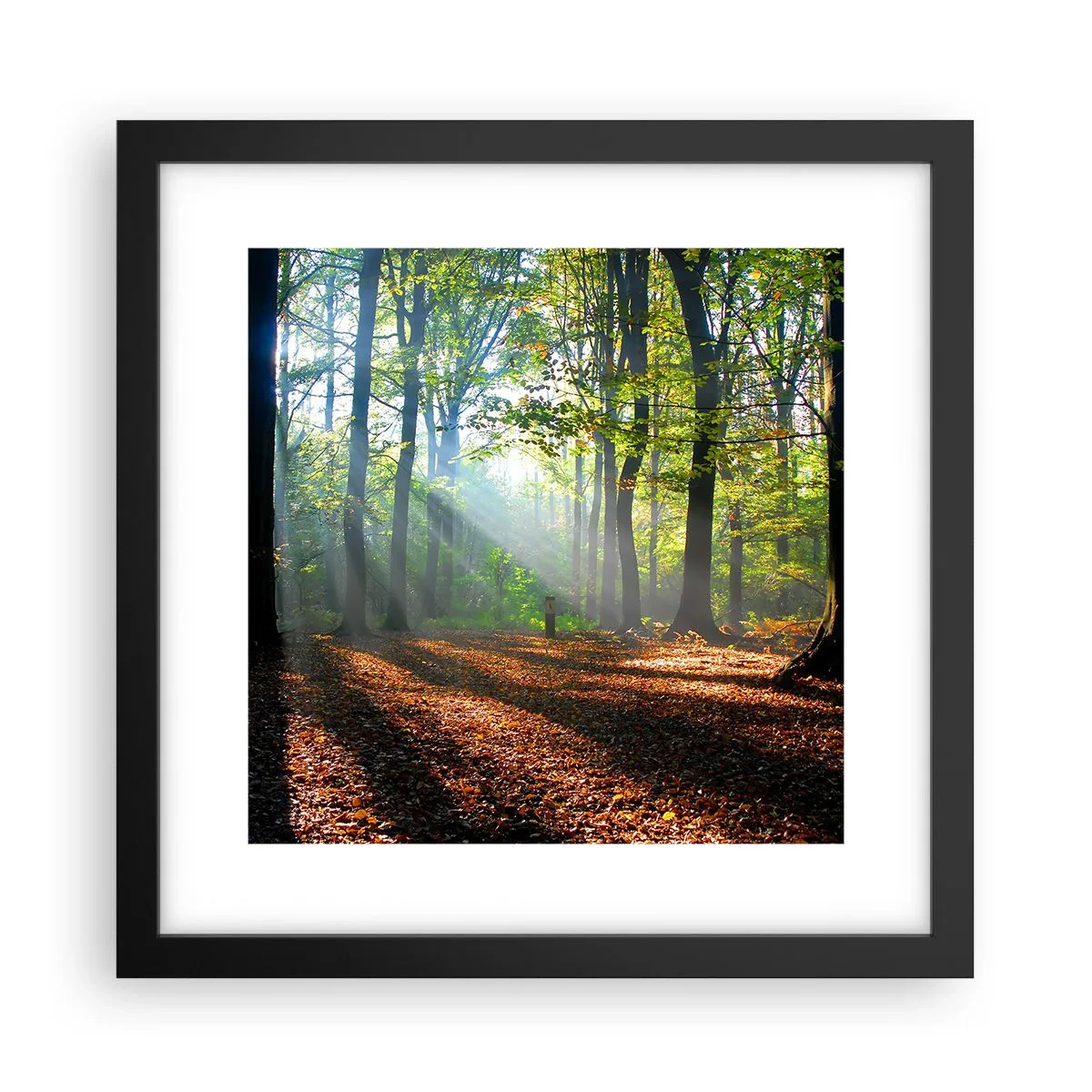 Plakat i sort ramme - Lys og skygger - 30x30 cm