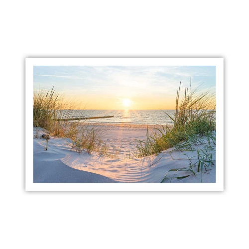 Plakat - Havet brummer, fuglene synger, en vild strand midt i græsset.... - 91x61 cm