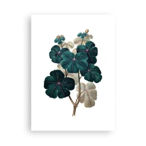 Plakat - Fra et gammelt herbarium - 50x70 cm