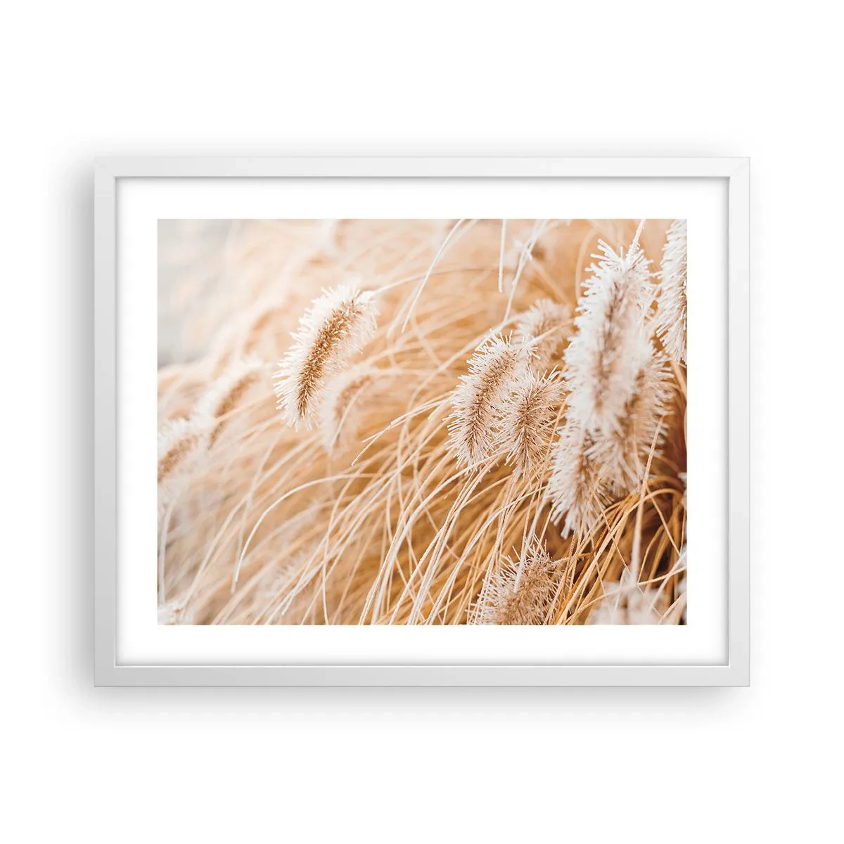 Plakat i hvid ramme - Gyldent susen af græsser - 50x40 cm