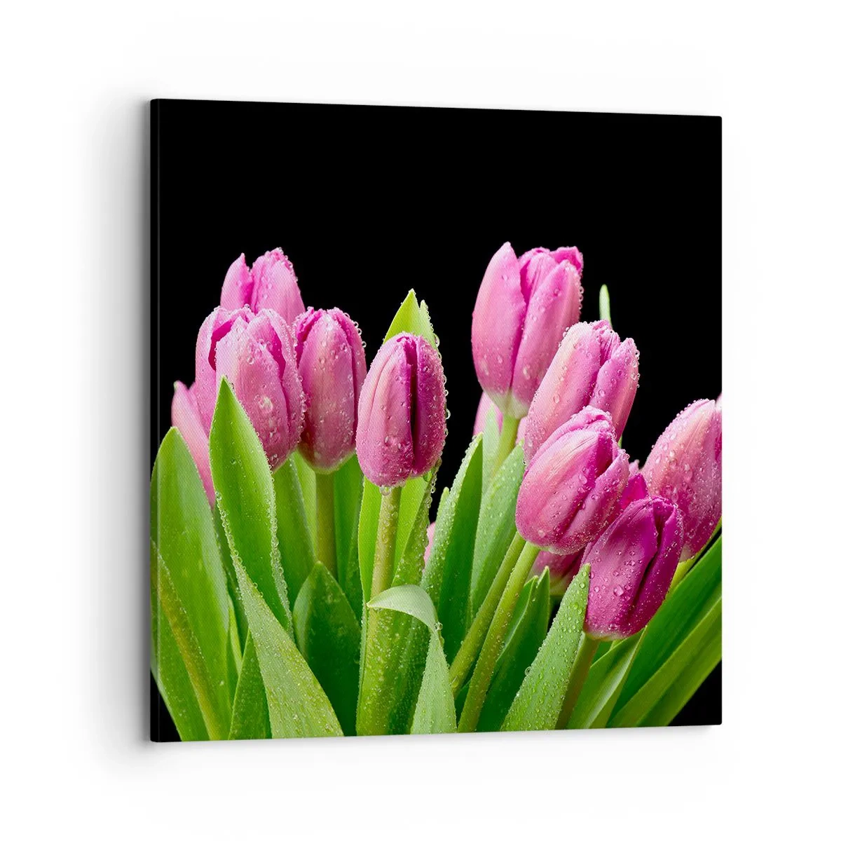 Lærredstryk - Billede på lærred - Forårets lilla glæde - 70x70 cm